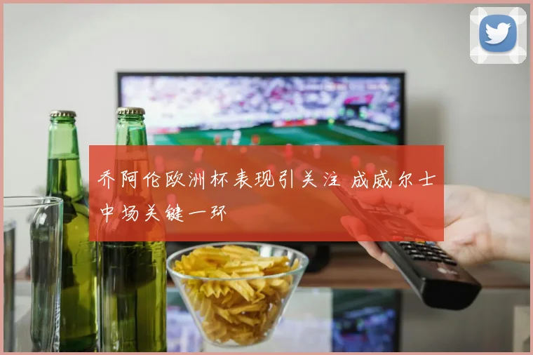乔阿伦欧洲杯表现引关注 成威尔士中场关键一环